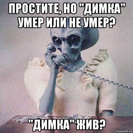 простите, но "димка" умер или не умер? "димка" жив?