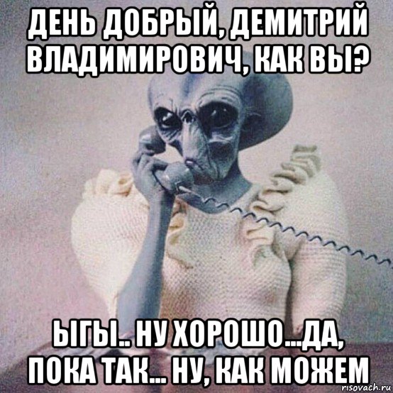 день добрый, демитрий владимирович, как вы? ыгы.. ну хорошо...да, пока так... ну, как можем