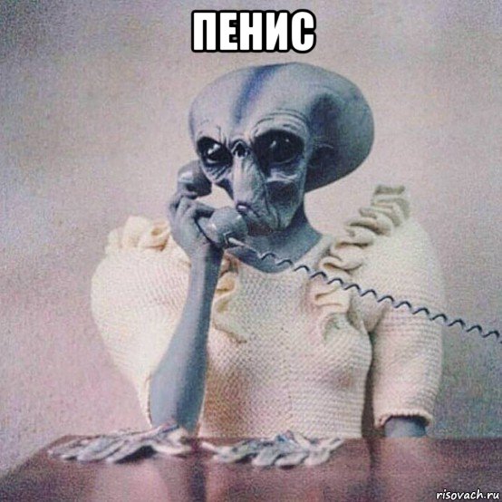 пенис 