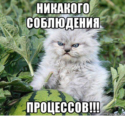 никакого соблюдения процессов!!!