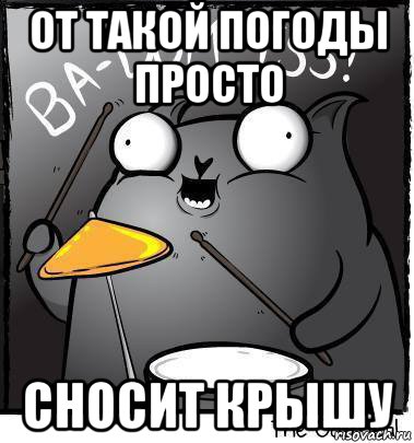 от такой погоды просто сносит крышу