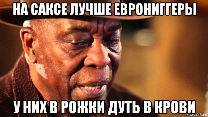 на саксе лучше еврониггеры у них в рожки дуть в крови
