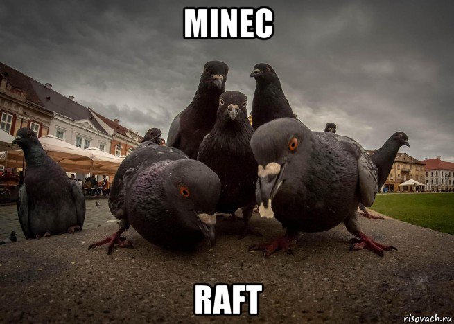 minec raft