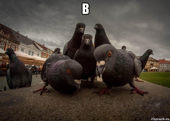 в 