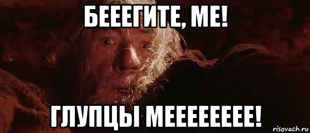 бееегите, ме! глупцы мееееееее!, Мем бегите глупцы