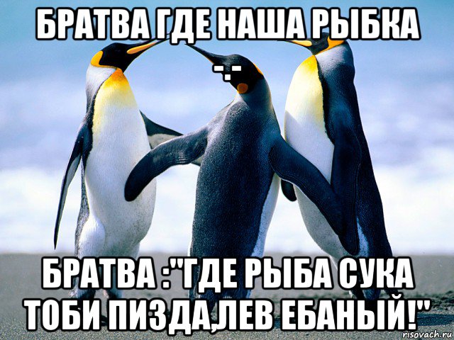 братва где наша рыбка -.- братва :"где рыба сука тоби пизда,лев ебаный!"