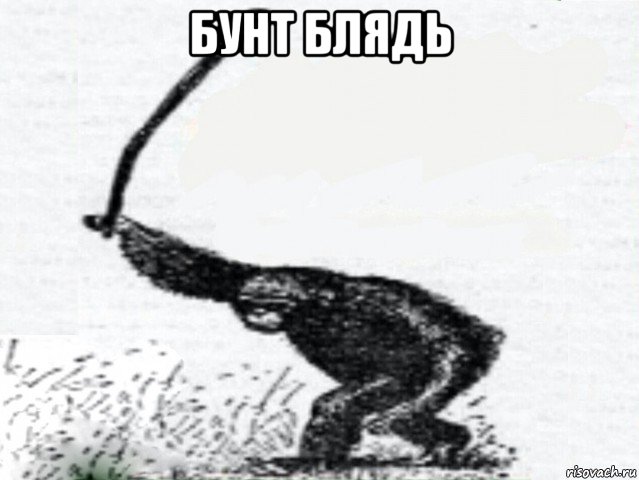 бунт блядь , Мем Бунт Обезьяна с дубиной