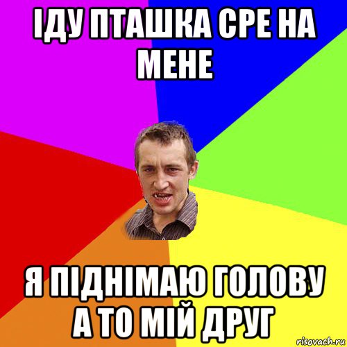 іду пташка сре на мене я піднімаю голову а то мій друг, Мем Чоткий паца