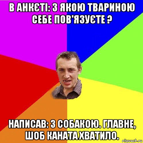в анкєті: з якою твариною себе пов'язуєте ? написав: з собакою. главне, шоб каната хватило.