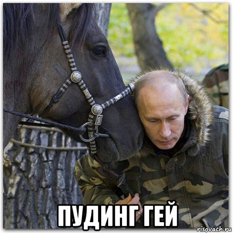  пудинг гей, Мем цска