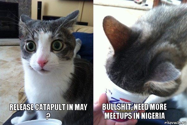 Release Catapult in May ? Bullshit, need more meetups in Nigeria, Комикс  Да не бред-какой-то (2 зоны)