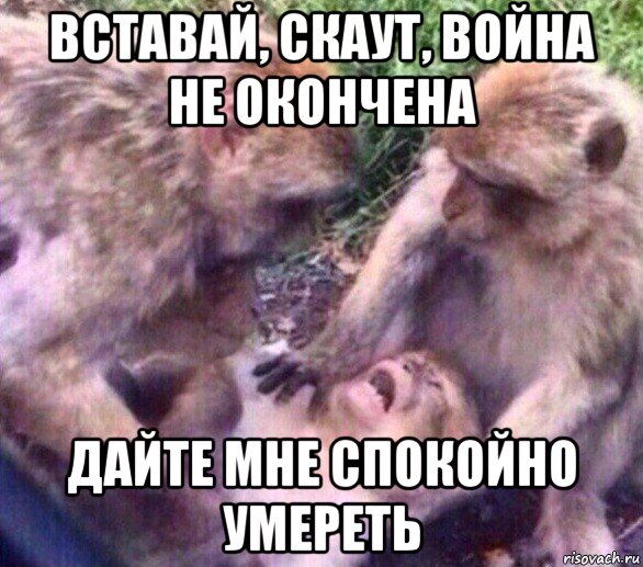 вставай, скаут, война не окончена дайте мне спокойно умереть