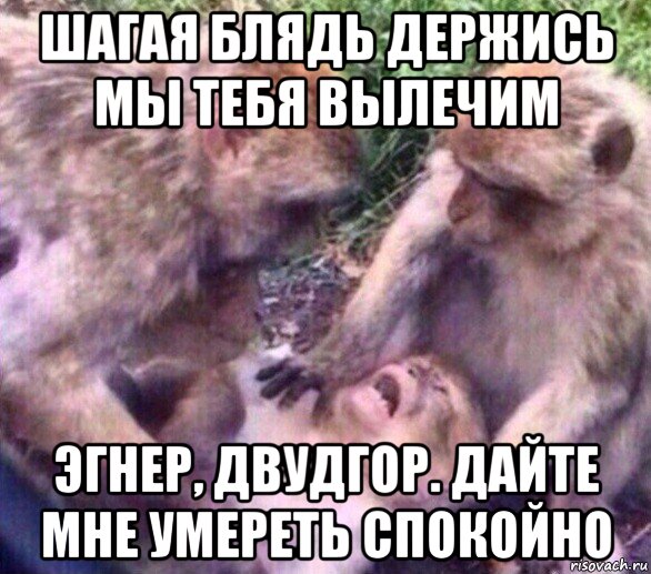 шагая блядь держись мы тебя вылечим эгнер, двудгор. дайте мне умереть спокойно
