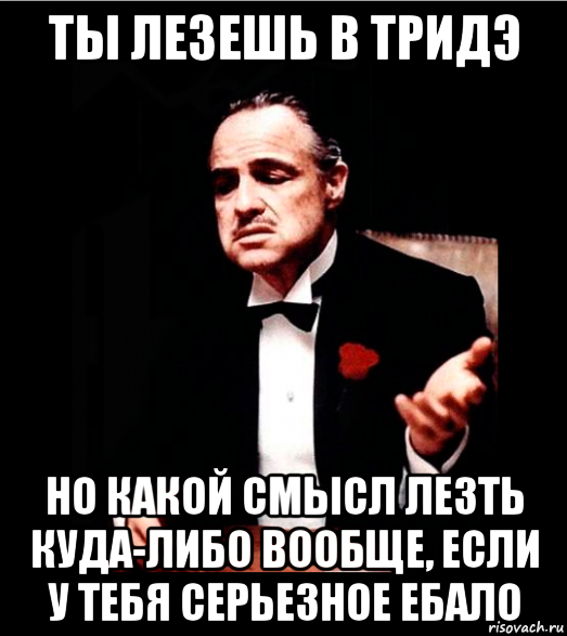 ты лезешь в тридэ но какой смысл лезть куда-либо вообще, если у тебя серьезное ебало