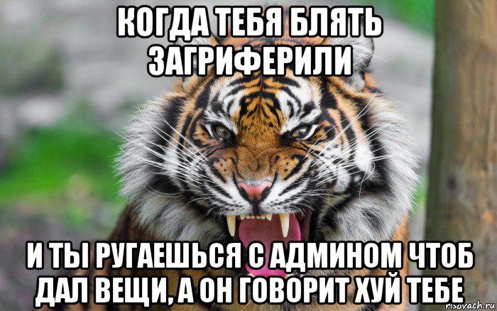 когда тебя блять загриферили и ты ругаешься с админом чтоб дал вещи, а он говорит хуй тебе