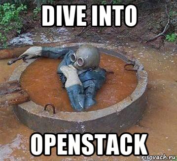 dive into openstack, Мем Dive into