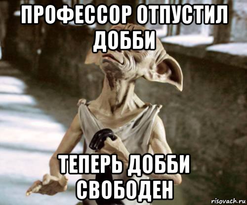 профессор отпустил добби теперь добби свободен