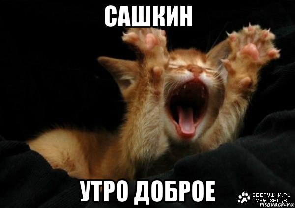 сашкин утро доброе