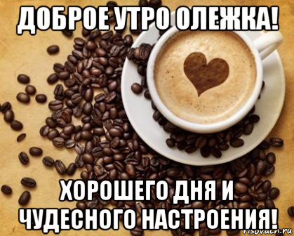 доброе утро олежка! хорошего дня и чудесного настроения!