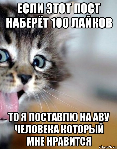 если этот пост наберёт 100 лайков то я поставлю на аву человека который мне нравится