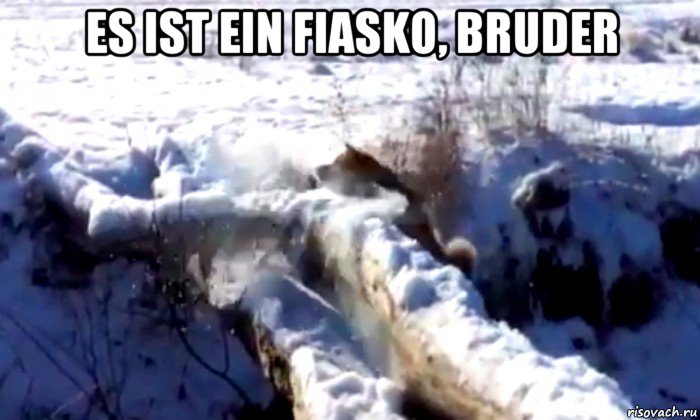es ist ein fiasko, bruder 