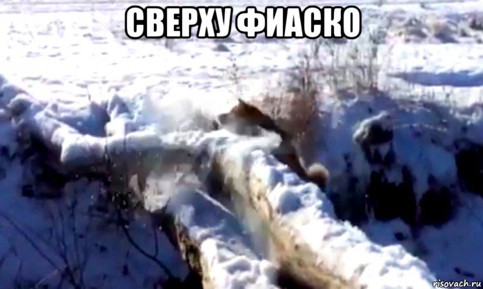сверху фиаско 