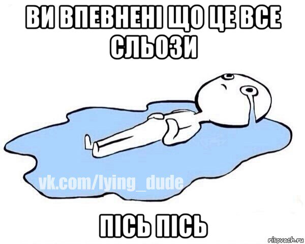 ви впевнені що це все сльози пісь пісь, Мем Этот момент когда