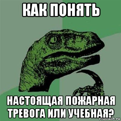 как понять настоящая пожарная тревога или учебная?, Мем Филосораптор