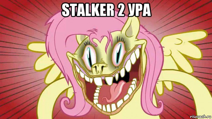 stalker 2 ура 