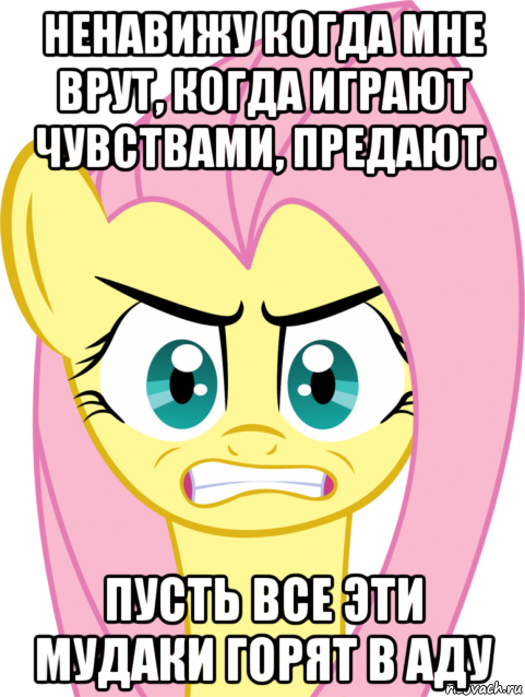 ненавижу когда мне врут, когда играют чувствами, предают. пусть все эти мудаки горят в аду, Мем Флаттершай гнев