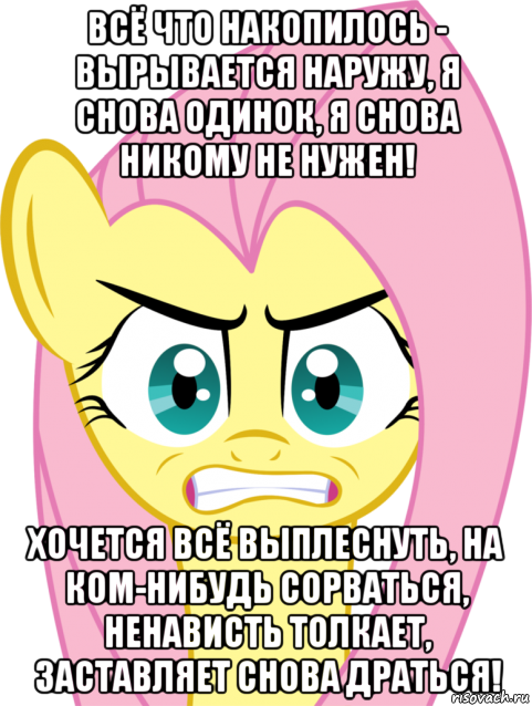 всё что накопилось - вырывается наружу, я снова одинок, я снова никому не нужен! хочется всё выплеснуть, на ком-нибудь сорваться, ненависть толкает, заставляет снова драться!, Мем Флаттершай гнев
