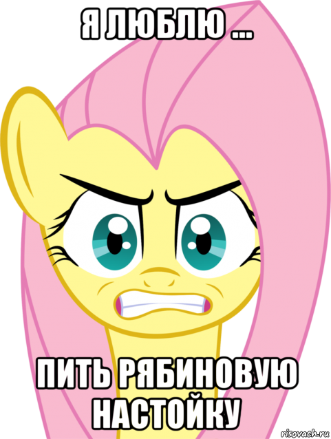 я люблю ... пить рябиновую настойку, Мем Флаттершай гнев