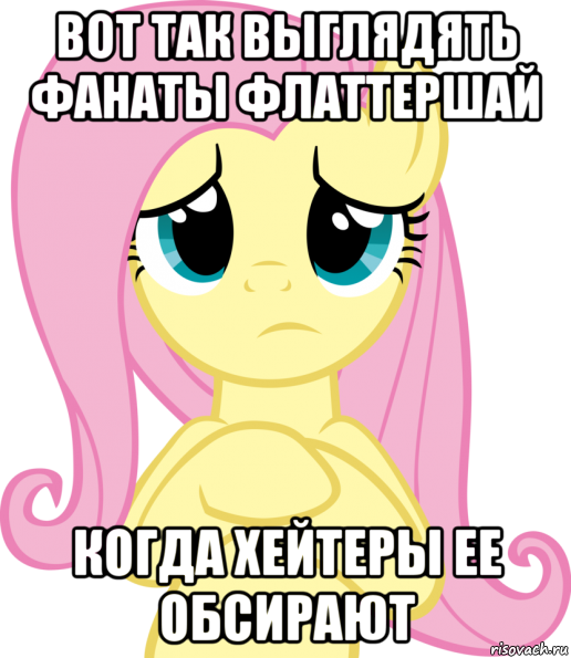 вот так выглядять фанаты флаттершай когда хейтеры ее обсирают