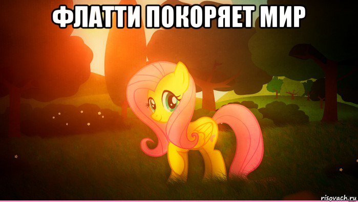 флатти покоряет мир 