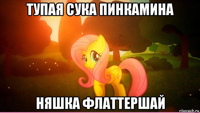 тупая сука пинкамина няшка флаттершай