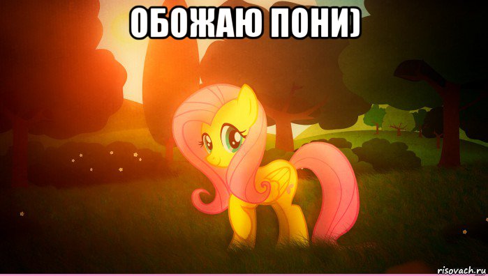 обожаю пони) 