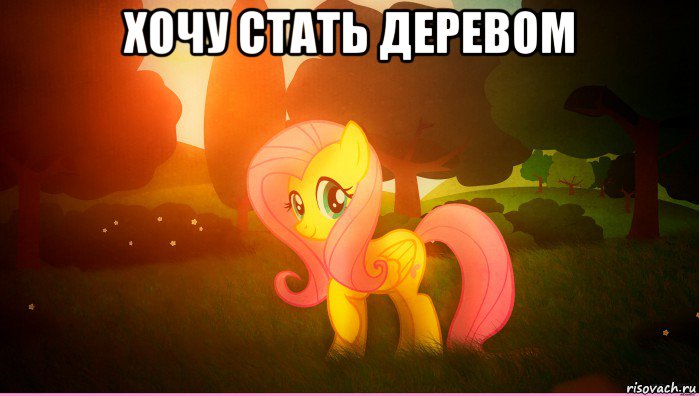 хочу стать деревом 