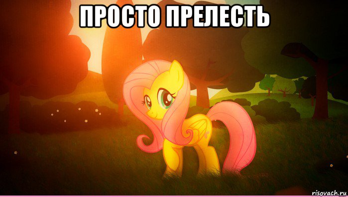 просто прелесть 