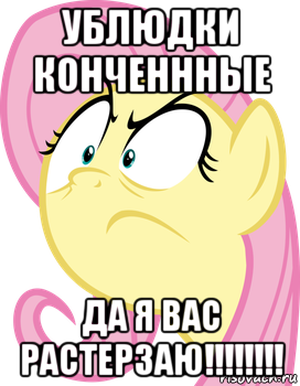 ублюдки конченнные да я вас растерзаю!!!!!!!!