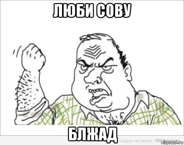 люби сову блжад
