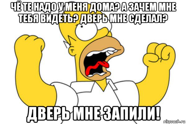 чё те надо у меня дома? а зачем мне тебя видеть? дверь мне сделал? дверь мне запили!, Мем Разъяренный Гомер