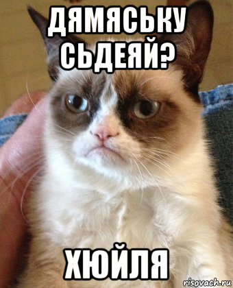 дямяську сьдеяй? хюйля, Мем Grumpy Cat small