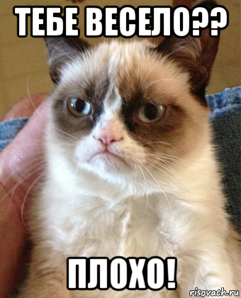 тебе весело?? плохо!, Мем Grumpy Cat small