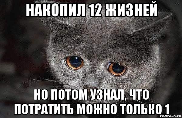 накопил 12 жизней но потом узнал, что потратить можно только 1, Мем  Грустный кот