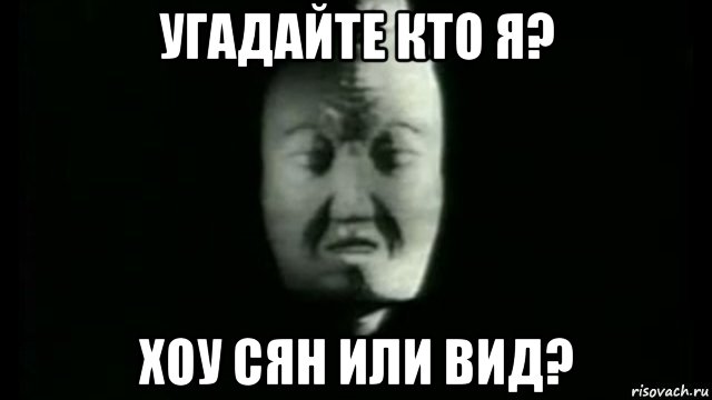 угадайте кто я? хоу сян или вид?