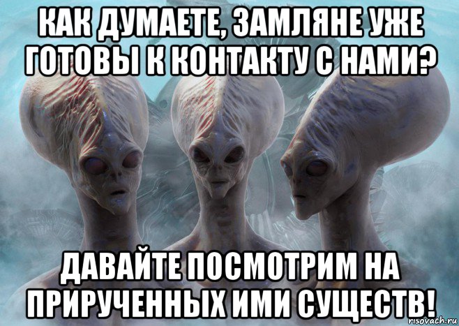 как думаете, замляне уже готовы к контакту с нами? давайте посмотрим на прирученных ими существ!