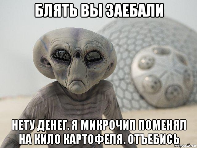 блять вы заебали нету денег. я микрочип поменял на кило картофеля. отъебись