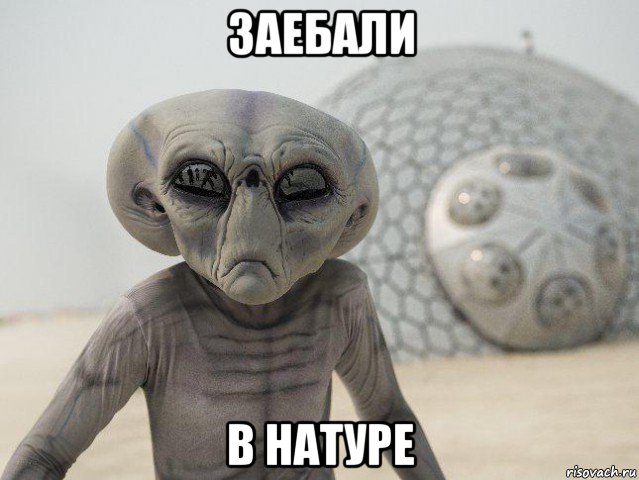 заебали в натуре