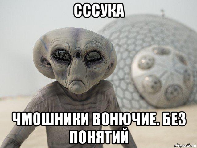 сссука чмошники вонючие. без понятий
