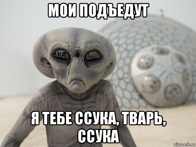 мои подъедут я тебе ссука, тварь, ссука
